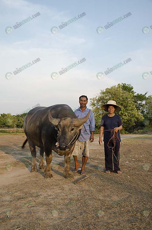 1.คุณลุงสมชาย-และคุณป้าลั่นทม-มุ่งหมาย-