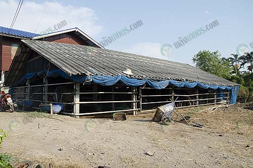 3.โรงเรือนเลี้ยงควาย