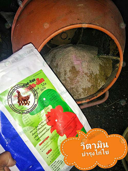 วิตามินบำรุงไก่ไข่