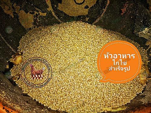 หัวอาหารไก่ไข่สำเร็จรูป