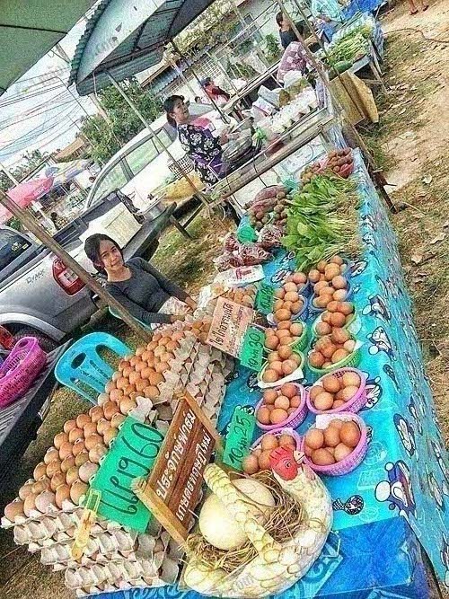 ไข่ไก่พร้อมจำหน่าย