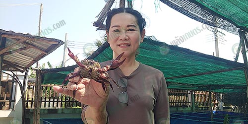 1.คุณศรีเพ็ญ-เจ้าของ-CRAB-HOUSE