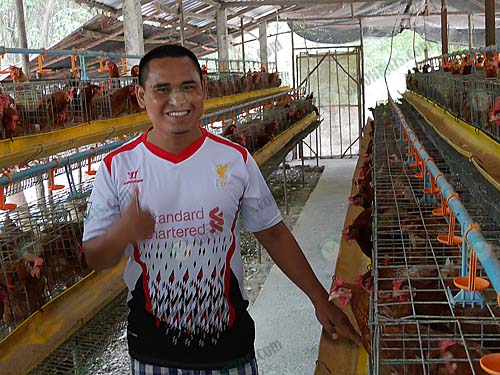 4.โรงเรือนไก่ไข่