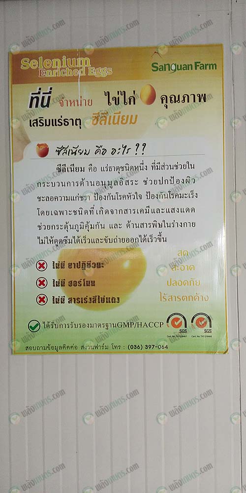 8.ซีลีเนียม