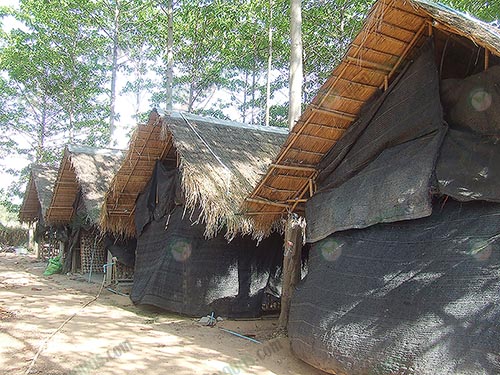 8.บริเวณภายในฟาร์มที่มีโรงเห็ดอยู่มากมาย