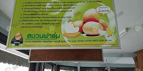 9.ไข่ซีลีเนียม