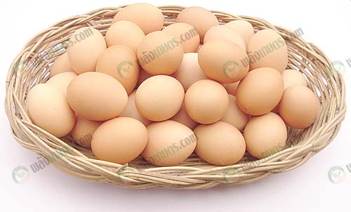 2.ผลผลิตไข่ไก่