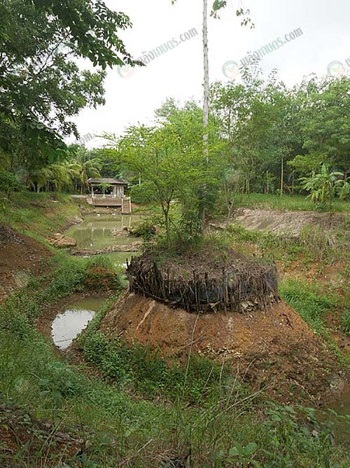 3.แหล่งน้ำที่แห้งขอดในช่วงวิกฤติน้ำแล้งที่ผ่านมา