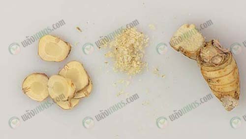 5.ประกอบอาหารได้หลากหลายเมนู-https.upload.wikimedia.orgwikipediaen44cWhat_is_Galangal_2007_dt