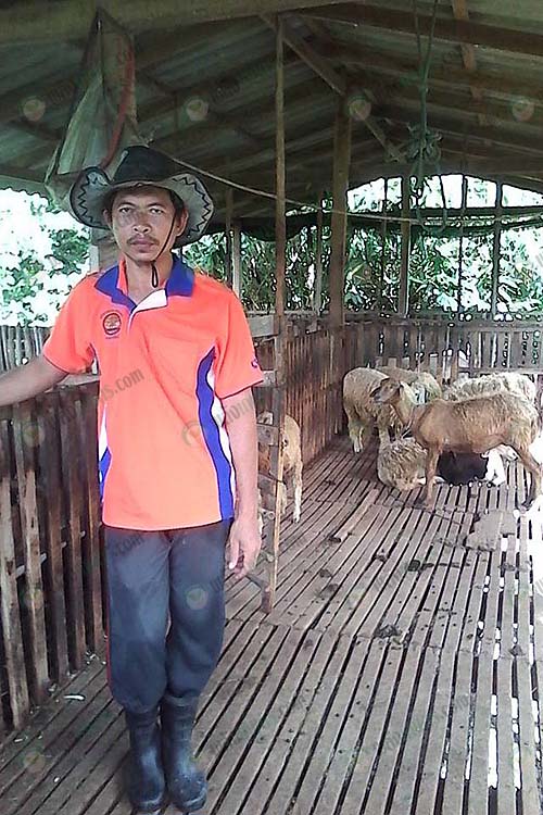 1.คุณรอยาลี มะลีลาเต๊ะ