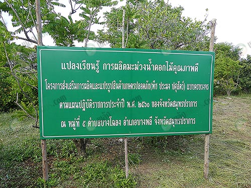 4.สวนคุณสมชัยได้เปิดเป็นแปลงเรียนรู้สำหรับเกษตรกรในชุมชน