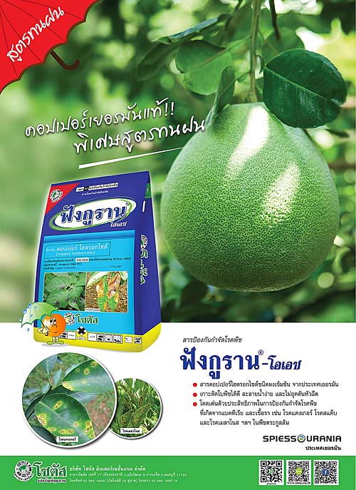 Advertisement Banner by บริษัท โซตัส อินเตอร์เนชั่นแนล จำกัด www.sotus.co.th