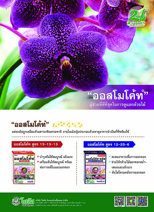 Advertisement Banner by บริษัท โซตัส อินเตอร์เนชั่นแนล จำกัด www.sotus.co.th