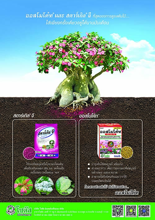 Advertisement-Banner-by-บริษัท-โซตัส-อินเตอร์เนชั่นแนล-จำกัด-www.sotus.co.th