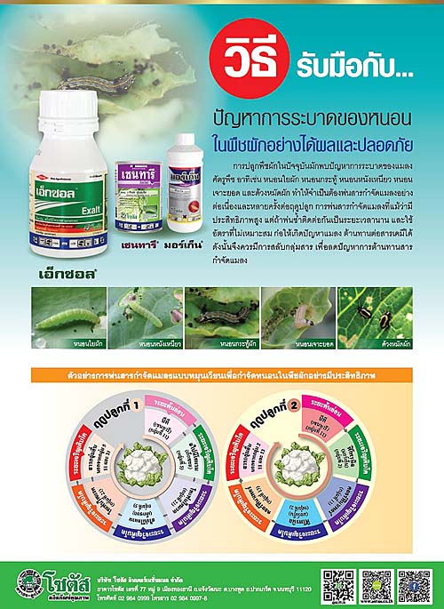 Advertisement Banner by บริษัท โซตัส อินเตอร์เนชั่นแนล จำกัด www.sotus.co.th