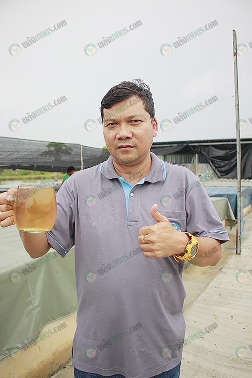 1.คุณโดม ผู้บริหาร กุ้งเพชรฟาร์ม