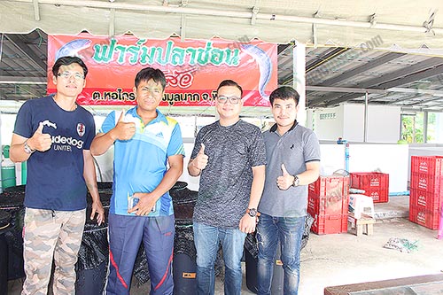 2.เกษตรกรผู้เพาะเลี้ยงปลาช่อน