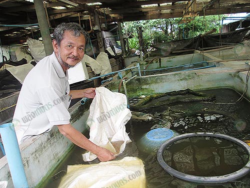 2.เกษตรกรผู้เลี้ยงกุ้งก้ามกราม