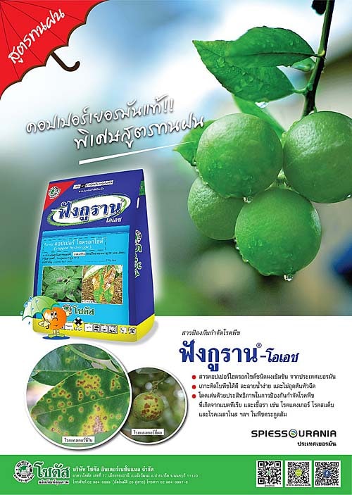 Advertisement Banner by บริษัท โซตัส อินเตอร์เนชั่นแนล จำกัด www.sotus.co.th