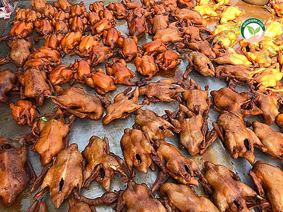 โรงเชือดเป็ด ส่งตลาดทำ เป็ดพะโล้พร้อมจำหน่าย