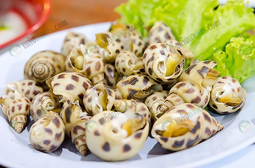 8.นำมาประกอบอาหารได้หลากหลายเมนู และมีราคาที่ค่อนสูงอีกด้วย