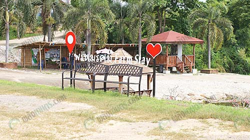 9.บรรยากาศรอบๆ-โฮมสเตย์