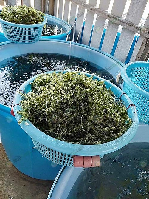 2.สด สะอาด และได้คุณภาพ