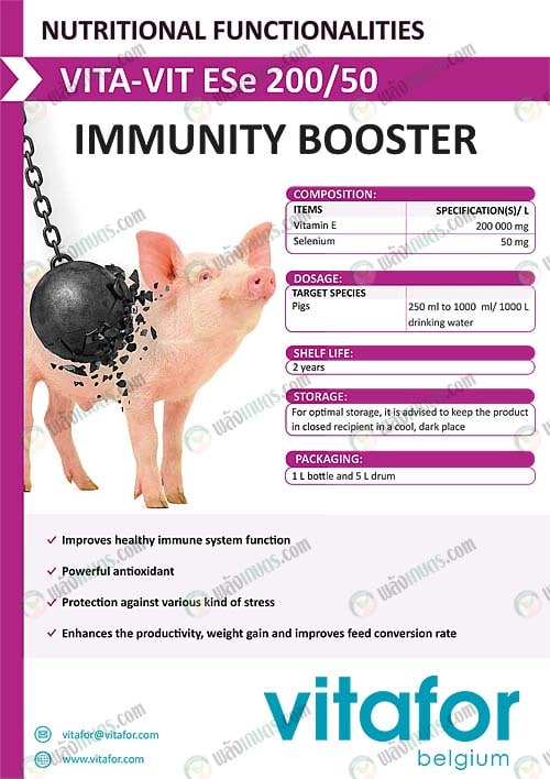 VITA-VIT-ESe-200-50