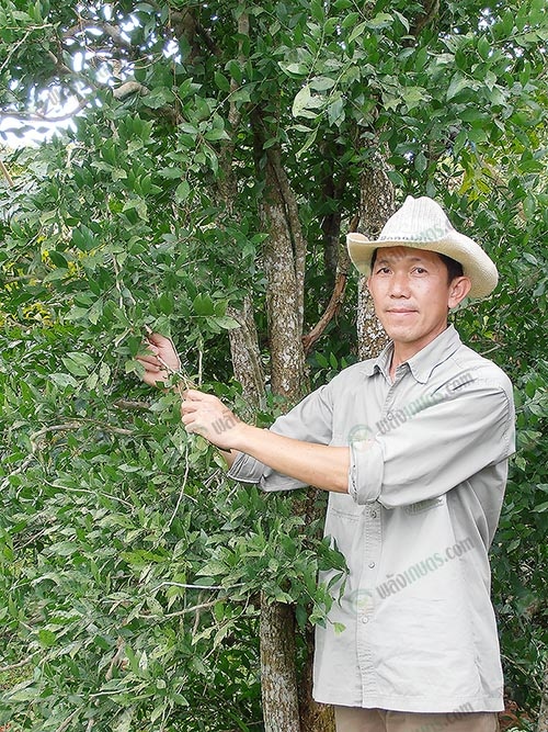 1.คุณสุจินต์-แสงแก้ว