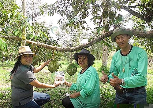 2.ป้าอุไร และทีมงานร้านสามเกษตร ที่ปรึกษาสวนทุเรียน