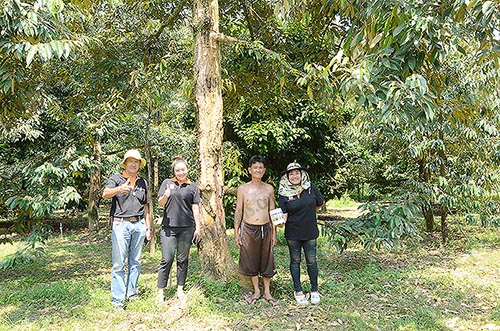 4.เปรียบเทียบหลังใช้ผลิตภัณฑ์ พีค รูทเตอร์ ต้นสมบูรณ์ แข็งแรง หายจากโรค