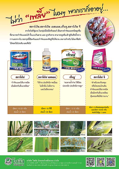 Advertisement-Banner-by-บริษัท-โซตัส-อินเตอร์เนชั่นแนล-จำกัด-www.sotus.co.th