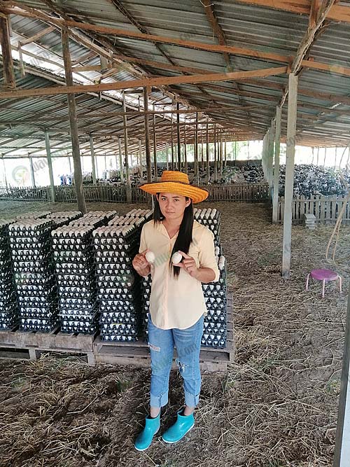 1.คุณทิพย์วรรณ ปัดลาด เกษตรกรผู้เลี้ยงเป็ดไข่