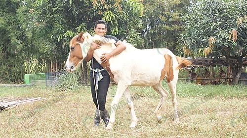 7.คุณแตยังเลี้ยงม้าอีกด้วย