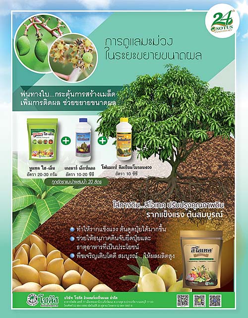Advertisement Banner by บริษัท โซตัส อินเตอร์เนชั่นแนล จำกัด www.sotus.co.th