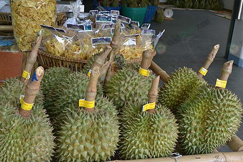 ทุเรียนนำออกขายหน้าสวน
