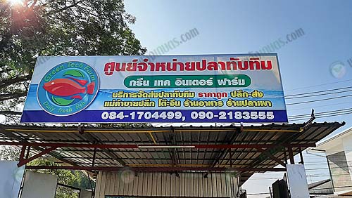 ศูนย์จำหน่ายปลาทับทิม