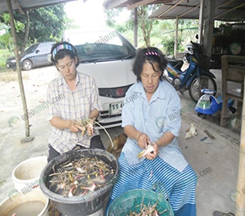 1.คุณอี๊ด ขจรกิดาการ (ซ้าย) และน้องสาว (ขวา)