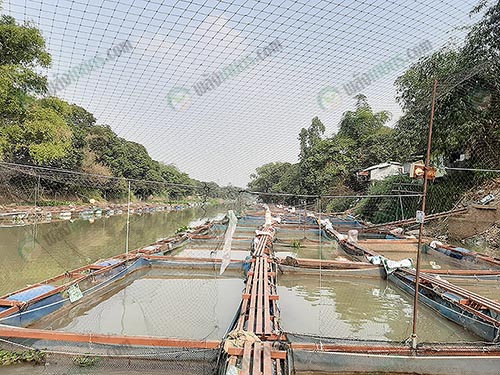 2.กระชังเลี้ยงปลาทับทิม