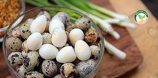 การเลี้ยงนกกระทา ผลิตไข่นกกระทาต้ม