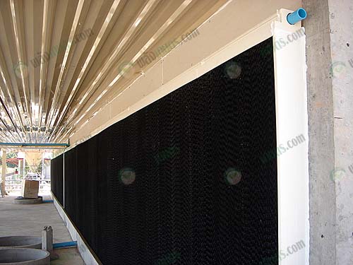 5.ตัวอย่างการติดตั้งคูลลิ่งแพคชนิดเคลือบดำ (CeLPad Black+) ในโรงเรือนระบบ Evap
