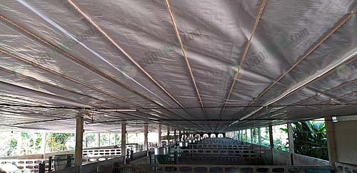 4.แอร์โร่ฟอยล์ช่วยลดความอับชื้นของโรงเรือนได้ดี