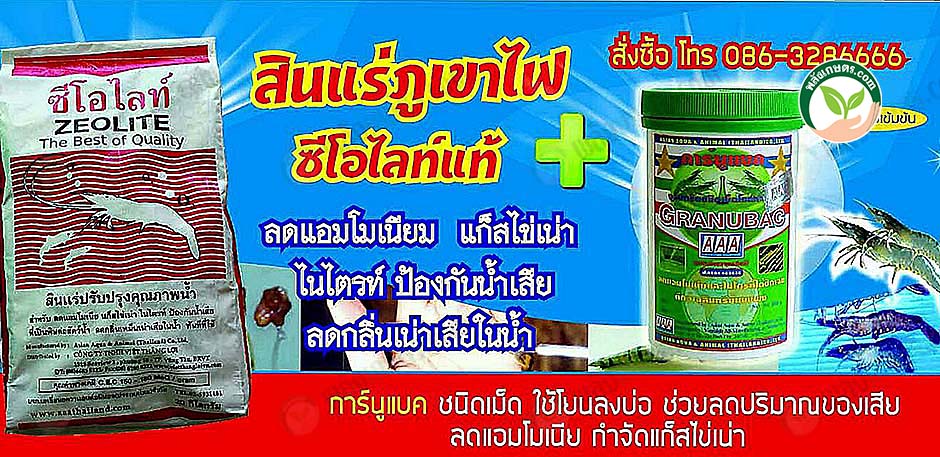 7.ผลิตภัณฑ์ สินแร่ภูเขาไฟ+ซีโอไลท์แท้
