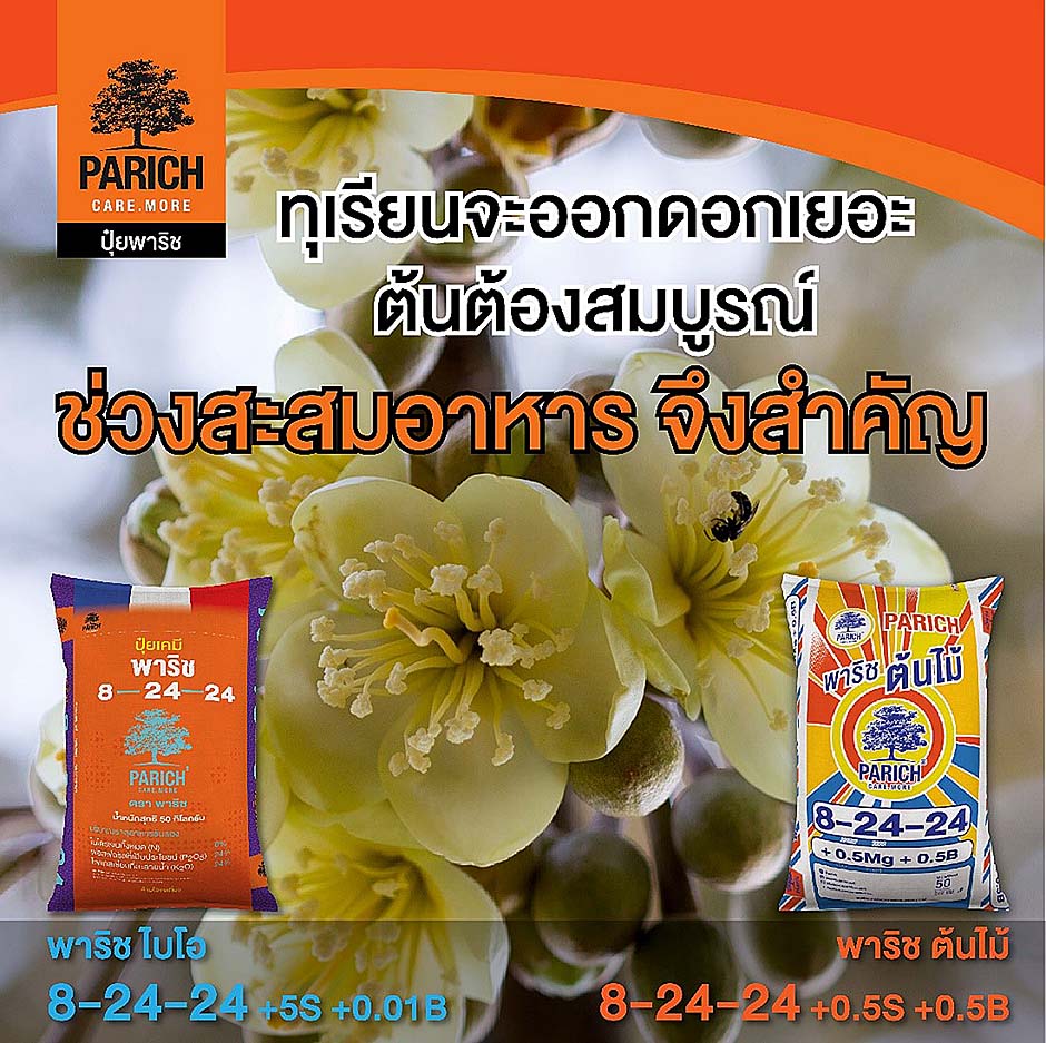 1.ปุ๋ยพาริช ไบโอ และปุ๋ยพาริช ต้นไม้ ช่วยทำให้ทุเรียนออกดอกเยอะขึ้น