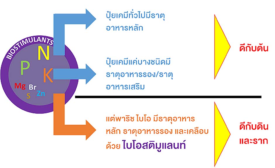 3.ประโยชน์ของปุ๋ยพาริช ไบโอ