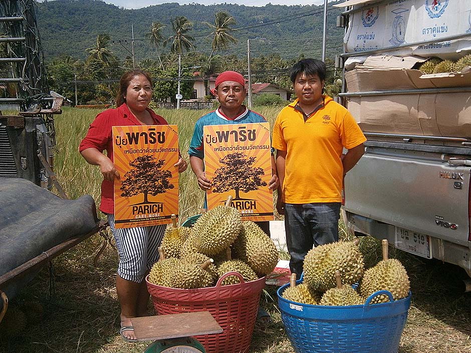 ทุเรียนลูกใหญ่ ได้คุณภาพ