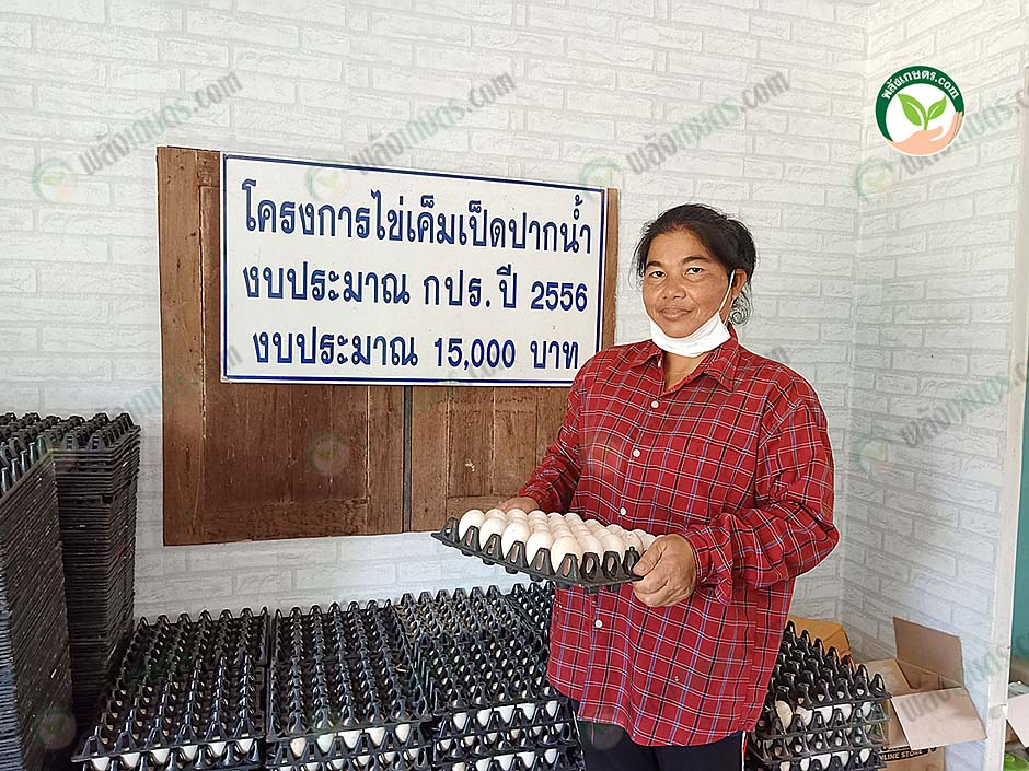 1.คุณลัดดาวัลย์ อึงสวัสดิ์ เกษตรกรผู้เลี้ยงเป็ดไข่