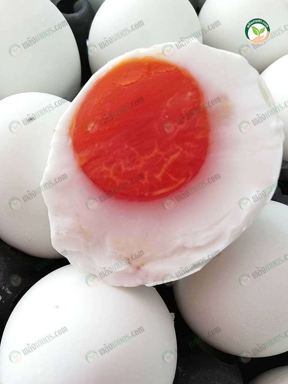 ไข่แดงจะมีสีสันสดสวย