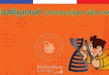 ปุ๋ย ไบโอสติมูแลนท์ (Biostimulants) คืออะไร? 1.ไบโอสติมูแลนท์ (สารกระตุ้นทางชีวภาพ)