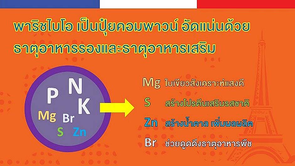 2.ปุ๋ยคอมพาวน์อัดแน่นด้วยธาตุอาหารรอง และธาตุอาหารเสริม